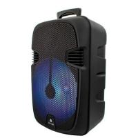 Колонка Bluetooth KTS-1202 12'' Black