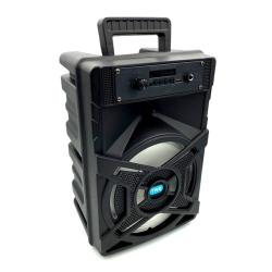 Колонка+караоке Bluetooth NB Series NB-6 8'' 1200W Black