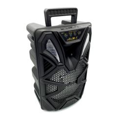 Колонка+караоке Bluetooth NB Series NB-9 8'' 1200W Black