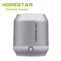 Колонка Bluetooth HOPESTAR H8 Silver