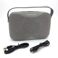 Колонка Bluetooth HOPESTAR H35 Gray