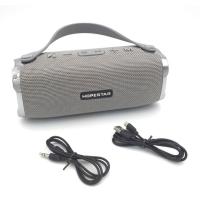 Колонка Bluetooth HOPESTAR H24 Gray