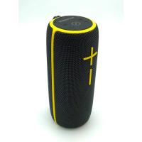 Колонка Bluetooth HOPESTAR P21 Grey_Yellow
