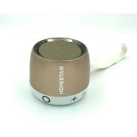 Колонка Bluetooth HOPESTAR H17 Gold